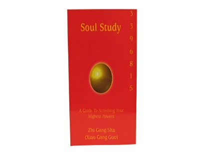 Soul Study (1st Edition)